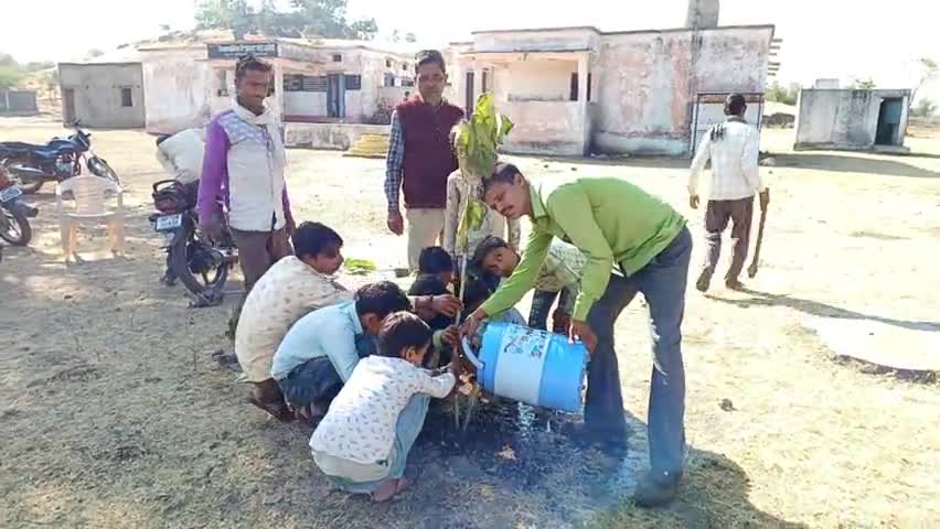 ग्राम पंचायत सारंगाखेड़ी के शासकीय माध्यमिक विद्यालय में पंचायत सचिव व स्कूल के बच्चों द्वारा किया गया पौधारोपण #पौधा @