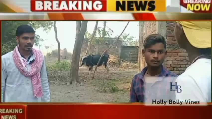 तेजी से सोशल मीडिया पर हो रहा वायरल एक छोटा सा गांव का लड़का  #Holly Bolly vines यूट्यूब चैनल पर
#please Support 🙏