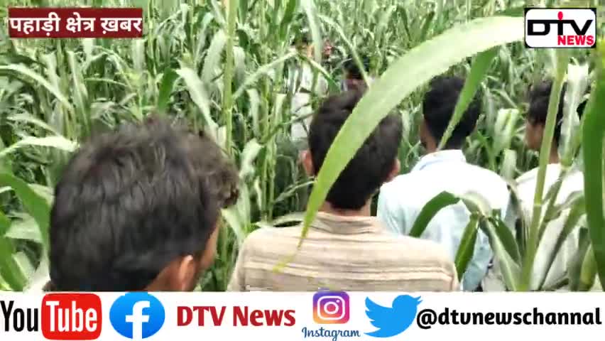 पहाड़ी ख़बर खेत में दुपट्टे से पत्नी का म'र्डर कर भागा फिर फोन कर खुद ही बोला खेत में पड़ी है ला'श.. #पहाड़ी #लड्डूका #कामां