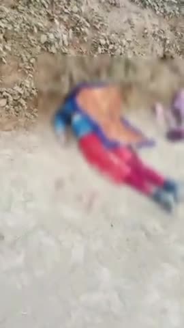 अकबरनगर दियारा में ट्रेक्टर ने लड़की को कुचला घटनास्थल पर दर्दनाक मौत मृतक कोमल कुमारी पिता किशोर दास #video #आर्मी