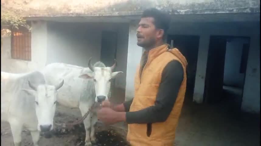 रॉबर्ट्सगंज: रेंजरी मे रेंजर साहब नही बैल साहब रेंजरी का देख भाल करते है || #khaliyari  || YouTube channel👉#rockstardkp