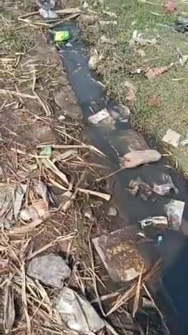 जिला अमरोहा के ग्राम सलेमपुर में नालियों की सफाई ना होने के कारण सड़क पर भरा गंदा पानी, #amrohatimes #news #amrohatv