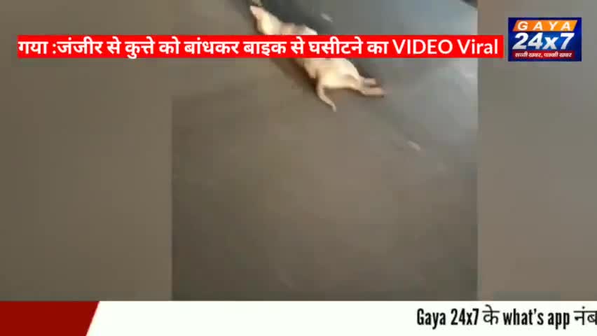 गया :कुत्ते को बांधकर बाइक से घसीटने का VIDEOViral FIR दर्ज गिरफ्तारी के लिए पुलिस कर छापेमारी

#GayaPolice #CrimeInGaya