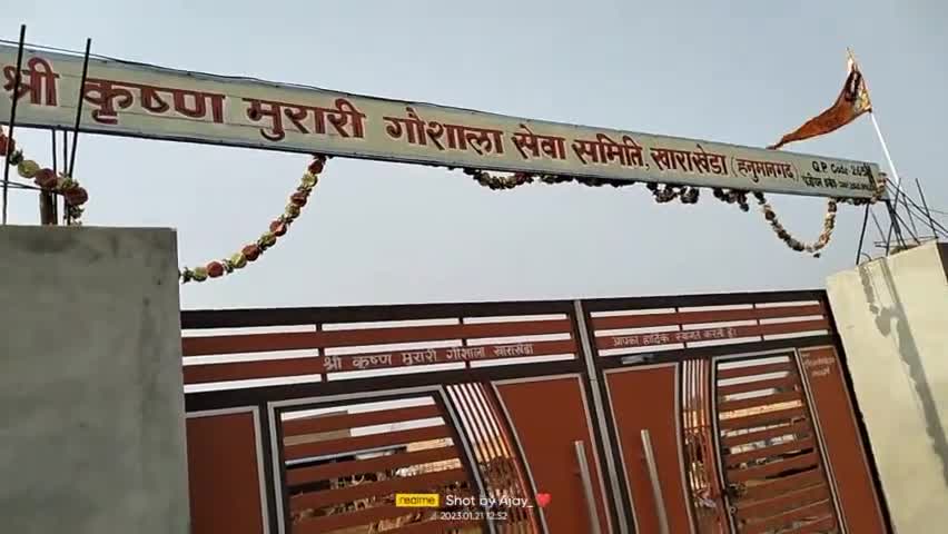 टिब्बी: श्री कृष्ण मुरारी गऊशाला खारा खेड़ा #viral_news #news24hours #public