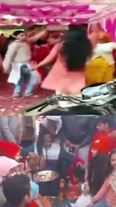 ###कुत्ते और कुत्तिया की शादी इंसान बने बराती