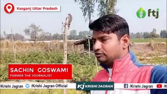 सब्ज़ियों की खेती के लिए Best है Intercropping Method, यहां जानें सरल विधि 
#intercropping #agriculture #farmers