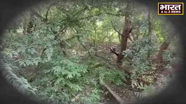 कानपुर: #कानपुर#नाले में मिली नोटों से भरी तिजोरी#