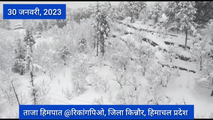 ताजा हिमपात #रिकांगपिओ, जिला किन्नौर, हिमाचल प्रदेश #Snow #snowfall #snowwhite #kinnaur #himachal #snowfallmountains
