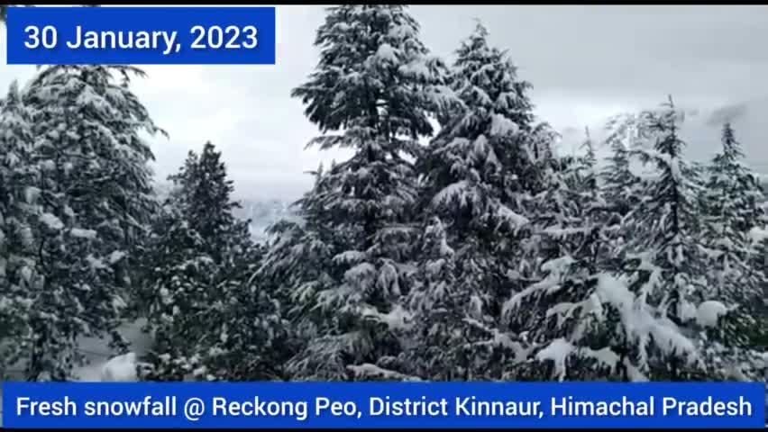 Fresh Snowfall 2 @ Reckong Peo, District Kinnaur, Himachal Pradesh #snow #snowfall #snowwhite #happy #kinnaur #Pangi