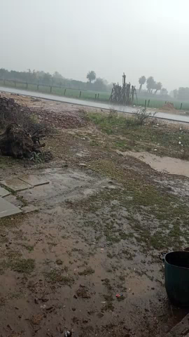 झालरापाटन: #खानपुर में मानसून की दस्तक,, किसानो की फसलों को  भारी नुकसान ,,,, खानपुर न्यूज़@