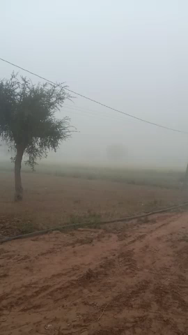तिंवरी: #तिंवरी : तेज ठंड #सरदी भारी कोहरा और शीत लहर ।