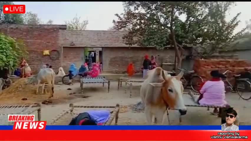 😮एक👉 😱#व्यक्ति जिंदा जला😱 दिया#👈 
😱😱😱😱😱👆👆👆😱😱😱
अपने क्षेत्र भिनगा की खबर 
ऐसे ही वीडियो देखने के लिए फालो