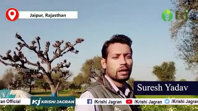सफ़ेद फूलो की खेती की सम्पूर्ण जानकारी , जानें कैसे तैयार करें खेत
#flowers #gardening #agriculture #farmers