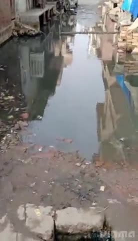 लखनऊ न्यू हैदरगंज मल्हपुर में सड़कों पर भरा पानी लोगों ने लगाई मदद की गुहार #1076 #up  #lucknow #nagernigam  #cm
