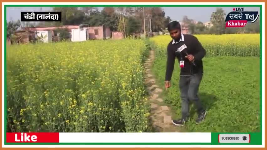 बिहार: बिहार के नालंदा में अजूबा प्राथमिक स्कूल देखें ! #bihar #viralschool #sarkarischool #nitishkumar #biharpolitics