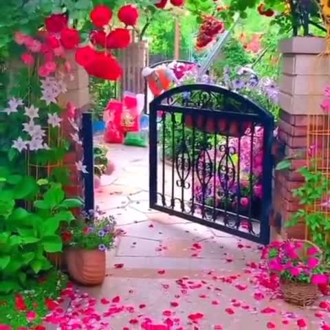 like and share with your comments
फूलों की रंगीली दुनिया में आइए ले चलते हैं।
#flowershow #flowers #media_coverage