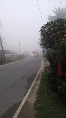 ठाकुरगंज: Kishanganj taiabpur #February me v kohre ka prakop dekha ja raha hai