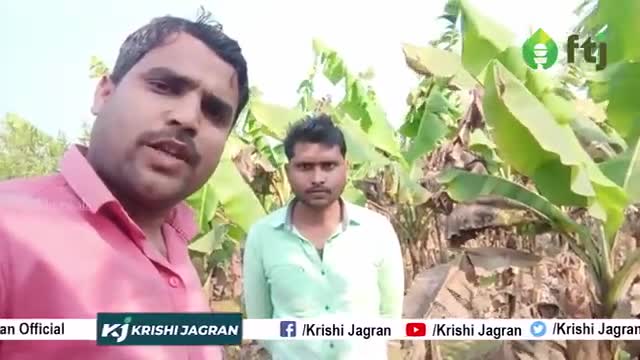 हरे चारे की खेती की सम्पूर्ण जानकारी , जानवरों के लिए हुआ मददगार साबित

#chane #farmers #animals #agriculture