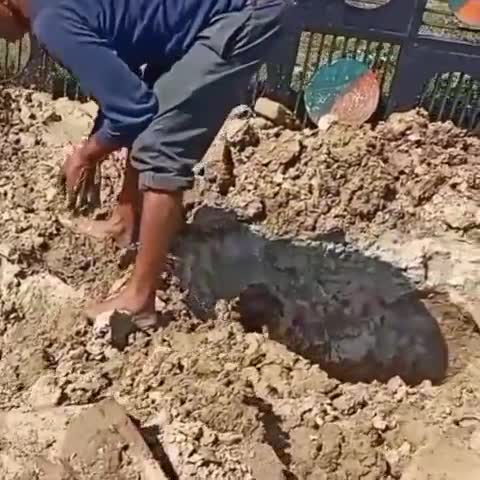 उत्तर प्रदेश में जलसंरक्षण के लिए निःशुल्क फटी पाइपलाइन की मरम्मत-अब तक संस्था द्वारा 88 फटी पाइप लाइनों की मरम्मत संपूर्ण उत्तर प्रदेश में करा चुकी है।
 
#द_इमर्जिंग_इंडिया_फाउंडेशन