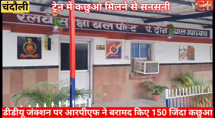 चंदौली: #breaking:नार्थईस्ट एक्सप्रेस में मिले भारी मात्रा में कछुए, मचा हड़कंप, आरपीएफ ने 9 लोगो को पकड़ा.#northeast #ddujuction
