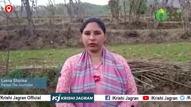 प्राकृतिक खेती ने बदली किसानों की तकदीर, कमा रहें अच्छा लाभ
#organicfarming #farming #agriculture