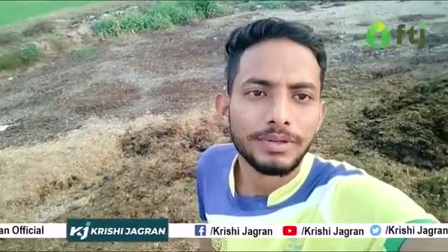 जानिए किस तरह से आप पशुओं के मल - मूत्र का इस्तेमाल जैविक उर्वरक खाद बनाने में कर सकते हैं।

#agriculturelife #farming
