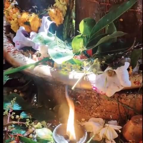 महाशिवरात्रि की हार्दिक शुभकामनाएं
द्वारि पन्ना मध्यप्रदेश#शिवरात्रि