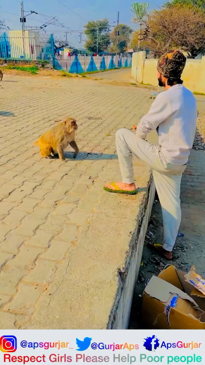 जीवन में का आधार लोगो को जानवरो जीवन देने में हे नाकी  छीनने में #apsgurjar #animals