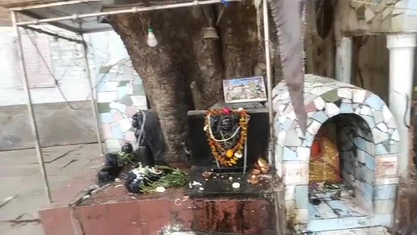 कल #महाशिवरात्री के पावन अवसर पर विभिन्न धार्मिक कार्यक्रमों में शामिल होने का शुभ अवसर प्राप्त हुआ। 
"जय जय महाकाल"