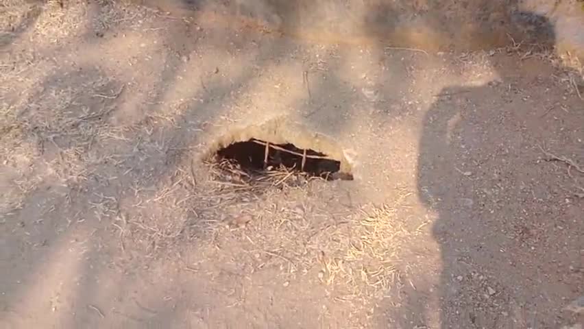 बौसी:कानी कैथ से कारी कोल जाने की कच्ची रास्ते में दो पूलों की क्षतिग्रस्त होंने की स्थति में ।#nnews#bihar#patnacity