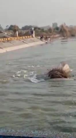रायबरेली: सोशल मीडिया पर सेल्फी डालने के चक्कर में जान जोखिम में डाल रहे युवक।#raebarelipolice