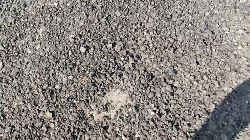 बीसलपुर: ग्राम पिपरिया मंडन से बरखेड़ा मार्ग पर PWD का कार्य चल रहा है जिसमे PWD विभाग और ठेकेदारों की जबरदस्त लापरवाही #pwd