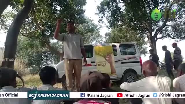 मात्र 130 दिन में पक कर तैयार हो जाती हैं धान की 27P37 फसल

#krishijagran #dhaan