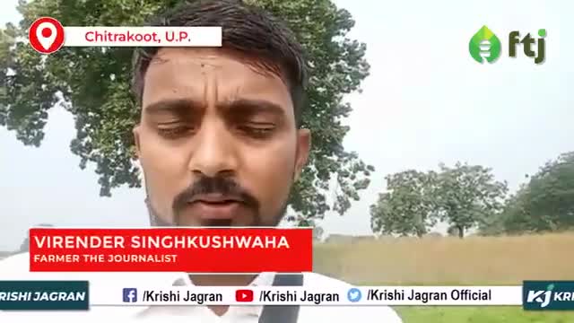 बरसीम की Market में है बेहद Demand, किसान कमा रहे अच्छा मुनाफा

#krishijagran #barseemfarming