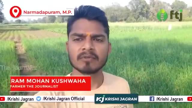 घर पर ही तैयार किया प्याज का बीज, जानें कैसे करते है रोगों से देखभाल 
 #krishijagran #onionfarming