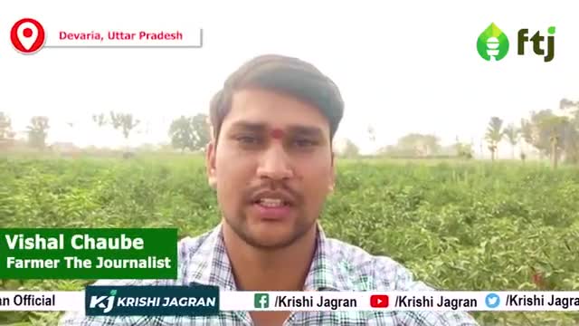 ये किसान 35 साल से कर रहे मिर्ची की खेती, जानें लागत से कमाई तक सब कुछ

#krishijagran #chillifarming