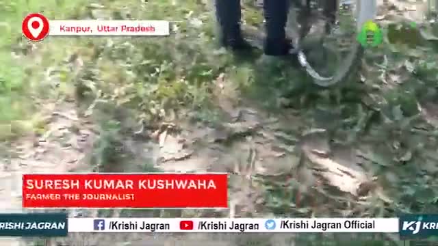 बीजों की सही जानकारी के लिए किसानों को मिल रहा प्रशिक्षण

#krishijagran #seeds #agriulture
