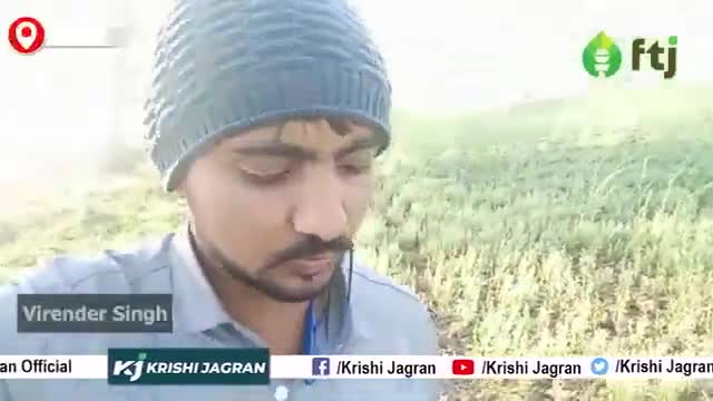 मसूर की शानदार उपज के लिए Fertilizer का कितना प्रयोग करें

#krishijagran #masoorfarming #agriculture