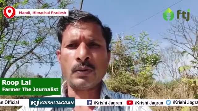 चने की खेती में इन ख़ास बातों का रखे ध्यान, होगी बंपर पैदावार

#krishijagran #chanekikheti