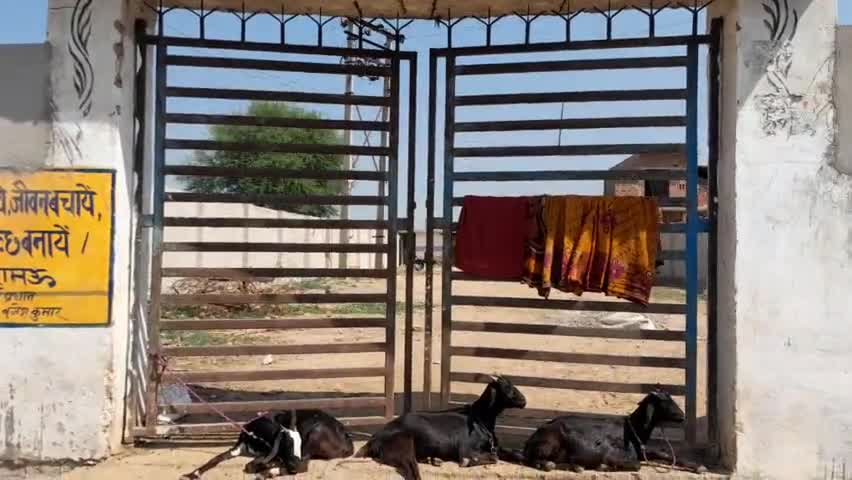 बिंदकी: #देवमई ब्लाक के नहरामऊ ग्राम पंचायत के पंचायत भवन में लगा रहता है ताला, ग्रामीण हो रहे परेशान ..! #upgovt #dmfat123