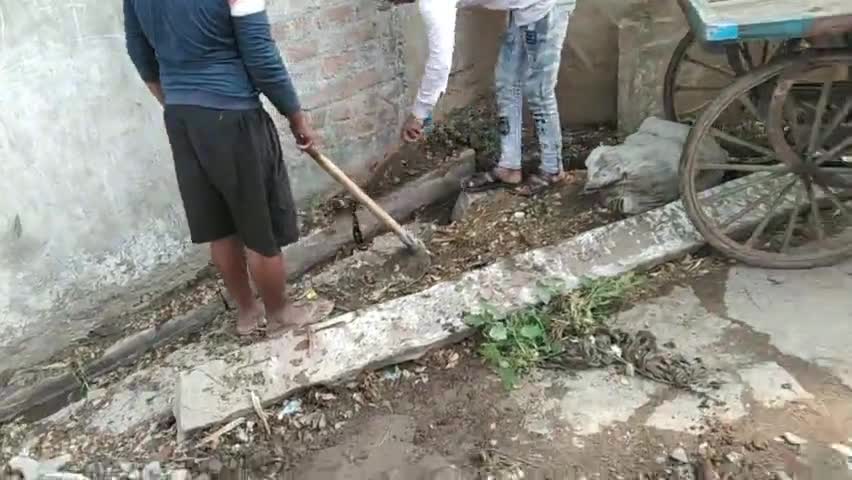 बासोदा: वॉर्ड नंबर 24 के  जागरूक अहिरवार समाज द्वारा चलाया गया स्वच्छता अभियान #swachabharatabhiyan #swachhbharat #swachbharatmi