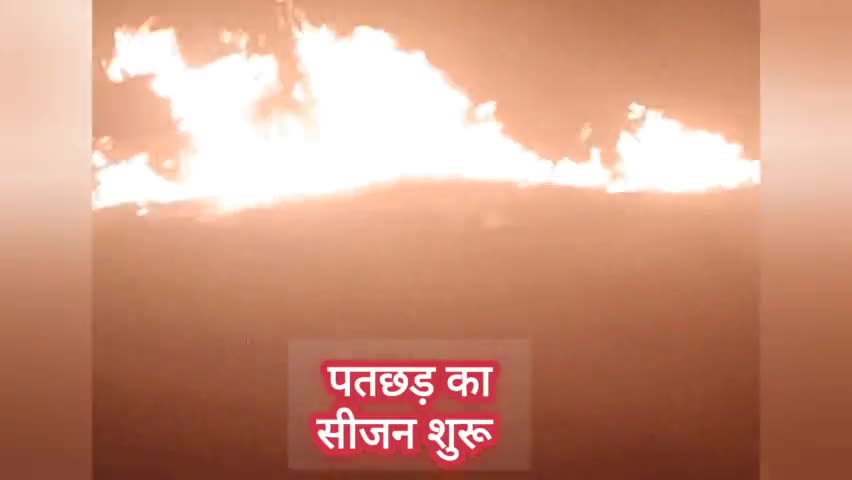 अंबिकापुर: वनक्षेत्रो में आगजनी का दौर आरंभ और जलवायु परिवर्तन
#today #topic #Surguja #forest #news