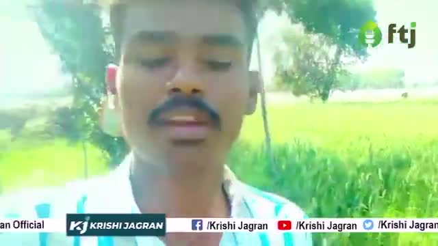 Orange Farming : जानें संतरे की खेती का सही तरीका और ध्यान रखने वाली बातें

#krishijagran #orangefarming