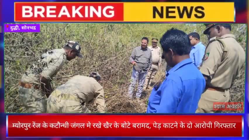 म्योरपुर रेंज के कटौन्धी जंगल मे रखे खैर के बोटे बरामद, पेड़ काटने के दो आरोपी गिरफ्तार

#अवैधकटान #वनविभाग #कार्यवाही