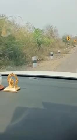 बाघेर घाटी में फिर दिखा तेंदुआ 
#Tigers #Safetiger #safe #वर्तमानझालावाड
वर्तमान राजस्थान  वर्तमान झालावाड़  #मुकंदरा