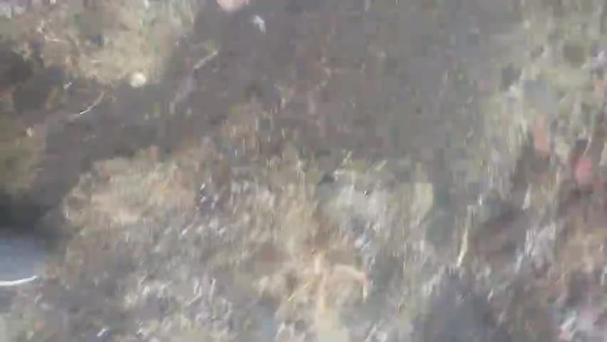 बीना: hinnod.gao.me.#aur Girne se Logon ki fasal Hui nasht