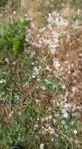 हुकूमत ही काफ़ी है जुल्मों सितम करने को,
मेरे देश के किसान के साथ, ऐसा ना कर भगवान।

#ओलावृष्टि