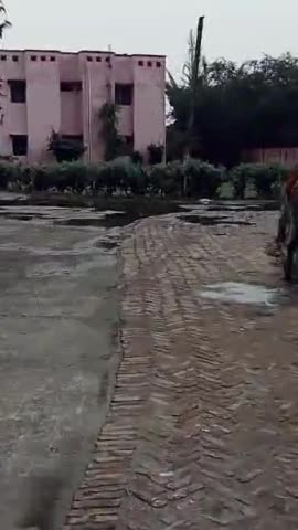 भारी बारिश के चलते नकहा सामुदायिक स्वास्थ्य केंद्र का बदहाल नजरिया कोई भी सुधार लाने का नहीं उठा रहा जिम्मेदारी#nakha