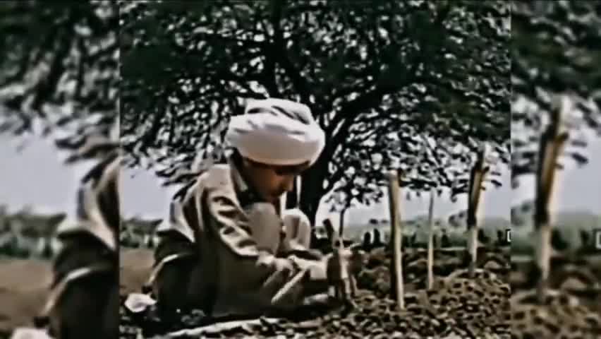 आजादी के महानायकों शहीद भगत सिंह, राजगुरु व सुखदेव जी को शहीद दिवस पर कोटि-कोटि नमन
#shaheeddiwas #shaheed #bhagatsingh