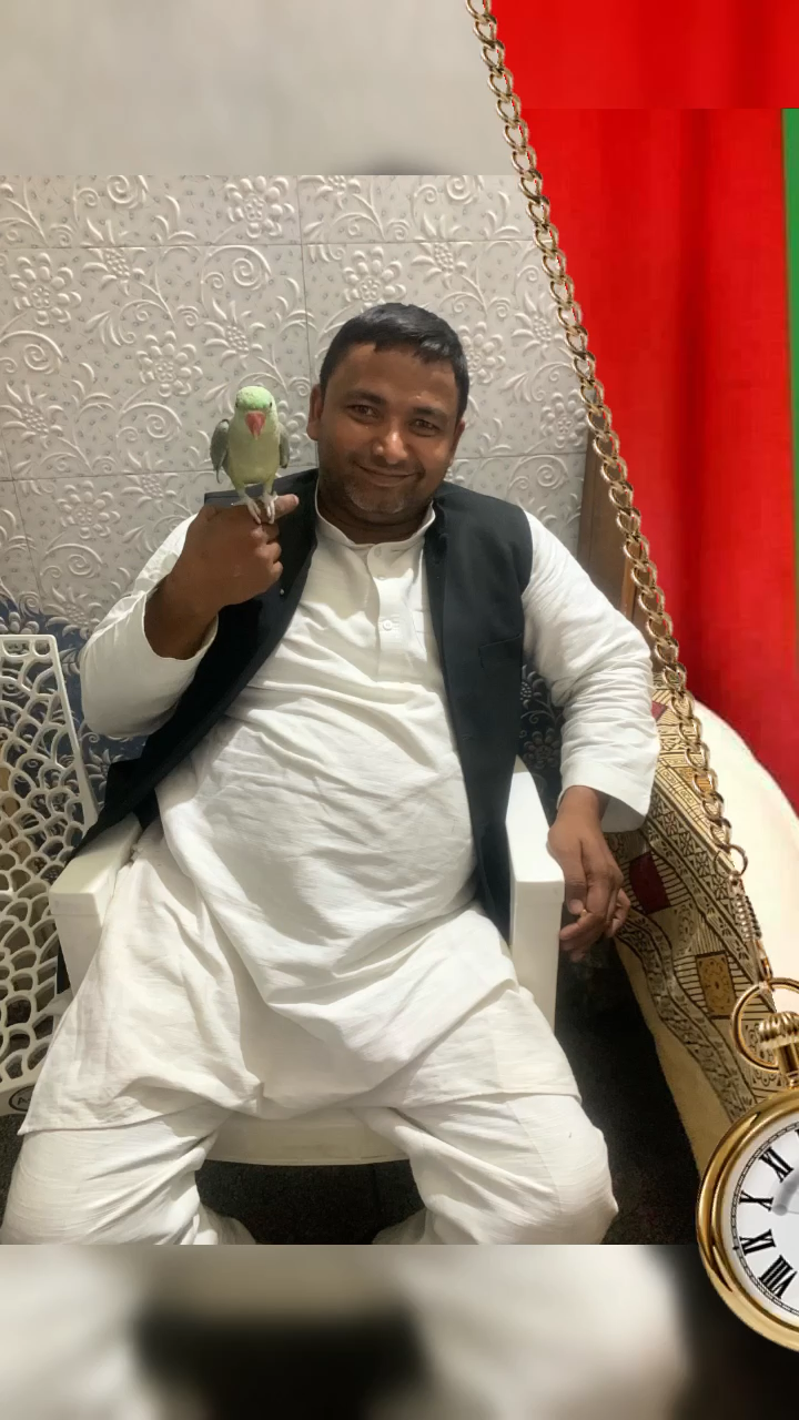 Sabka apna apna sok he koi mor palta #koi sayarash hame sok he bards ka @